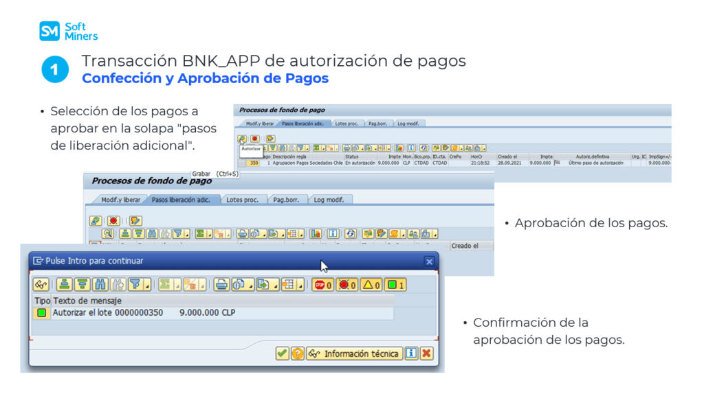 Transacción BNK_APP de autorización de pagos